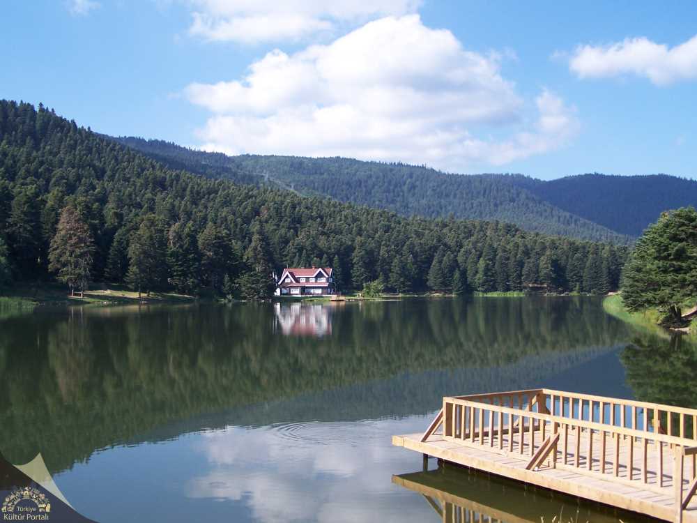 Galeri